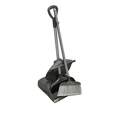 Long Handle Lobby Dustpan With Brush