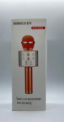 WIRELESS MIC WS-858