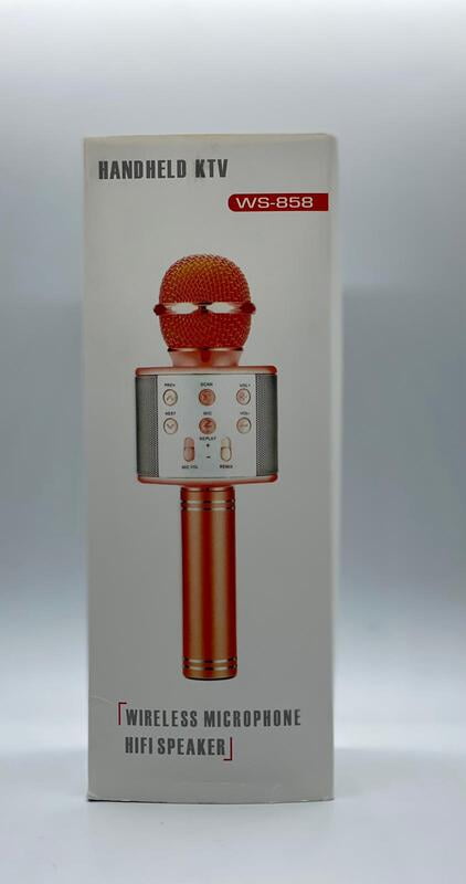 WIRELESS MIC WS-858